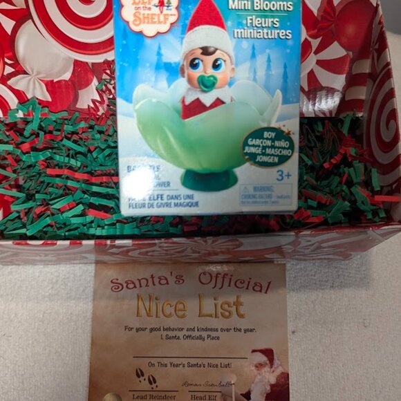 Other - Frost pips elf on the shelf blue eyes boy baby +Nice list certificate SHIP TODAY